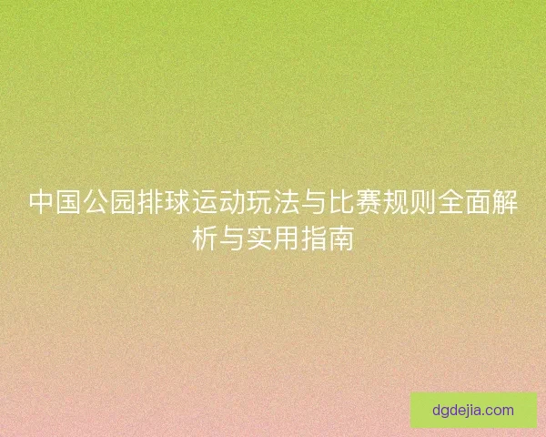 中国公园排球运动玩法与比赛规则全面解析与实用指南